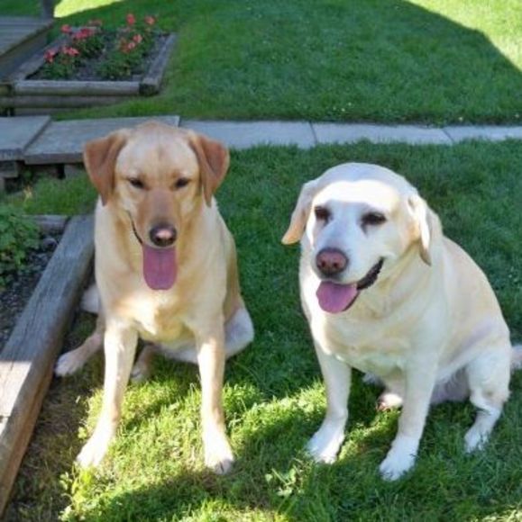 Meet your Posher, Amanda - Picture 1 of 1